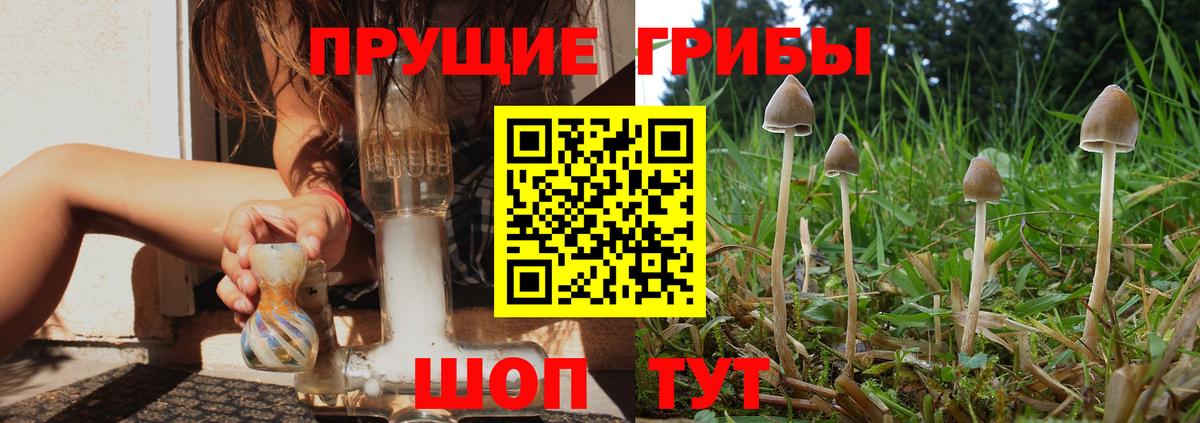 Коломна  Псилоцибиновые грибы MAGIC MUSHROOMS  Вход с VPN 